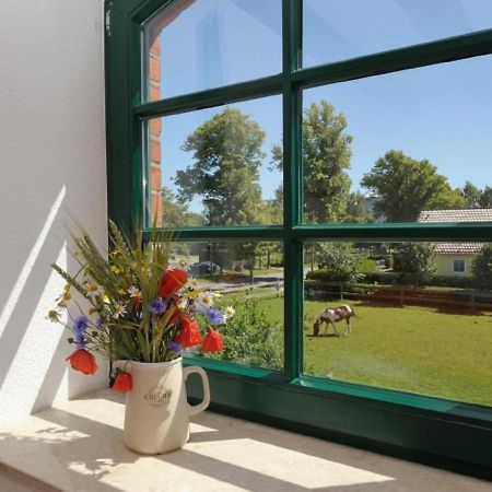 Apartament Hof Thomsen Gross Kordshagen Zewnętrze zdjęcie